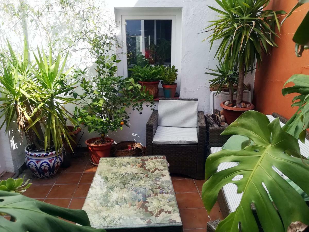 Arte Y Descanso En Sevilla Exterior foto